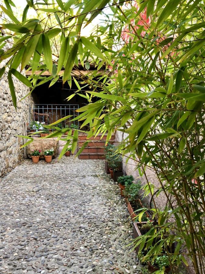 La Posada De Lola Эль-Молар Экстерьер фото
